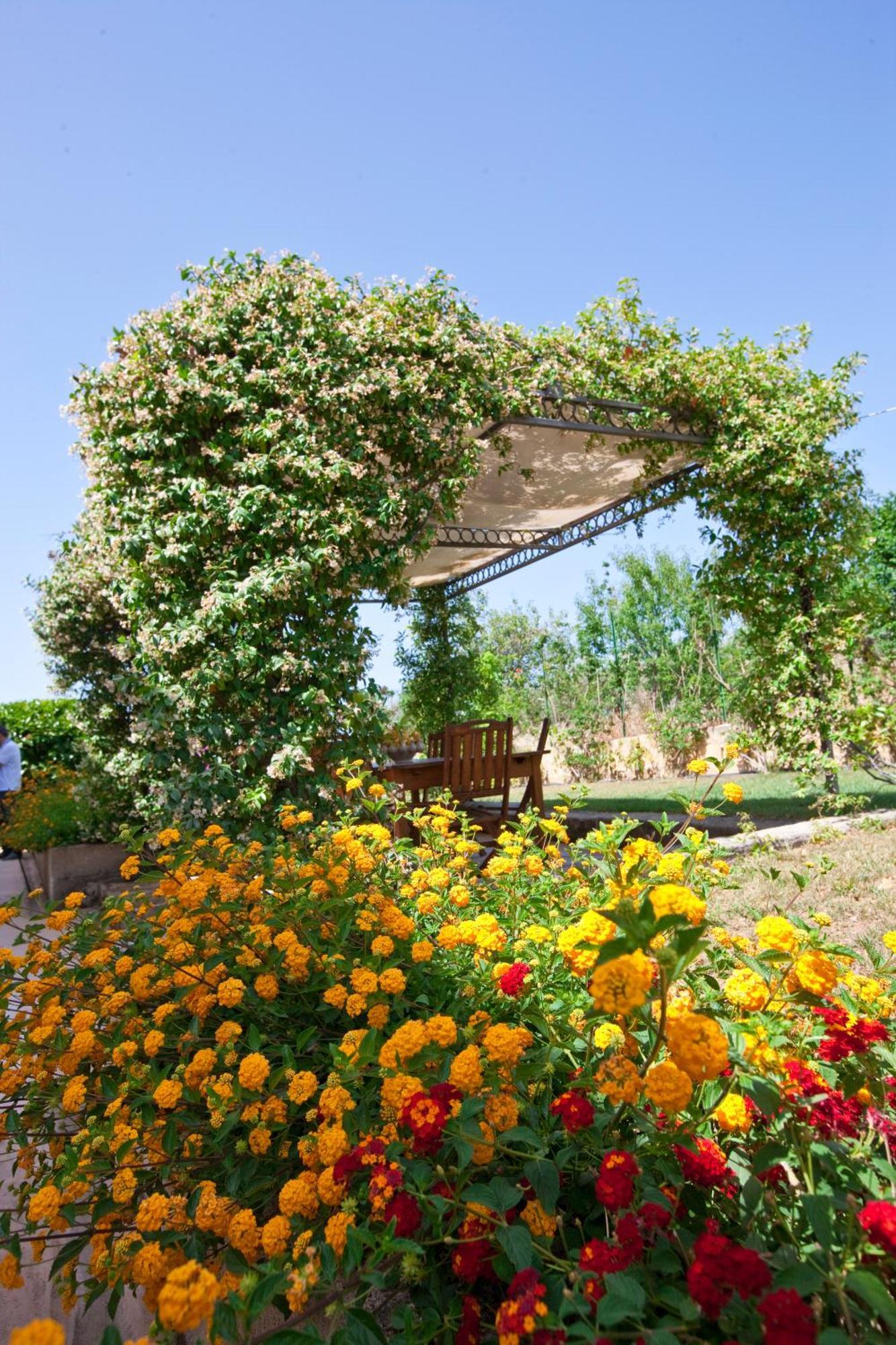 Baglio Sant'Andrea Bed & Breakfast Valderice Dış mekan fotoğraf