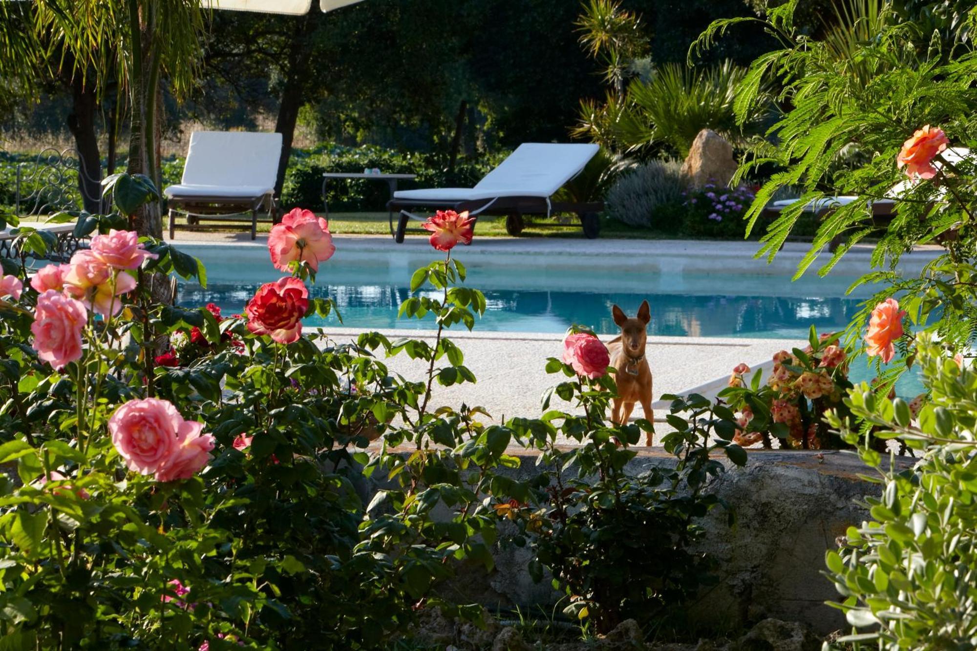 Baglio Sant'Andrea Bed & Breakfast Valderice Dış mekan fotoğraf